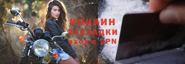 дживик Надым