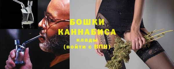 дживик Надым
