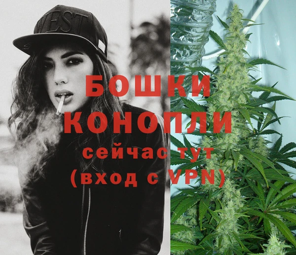 дживик Михайлов
