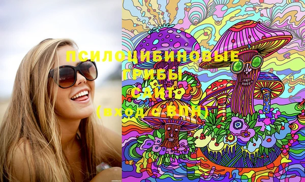 MDMA Premium VHQ Михайловка