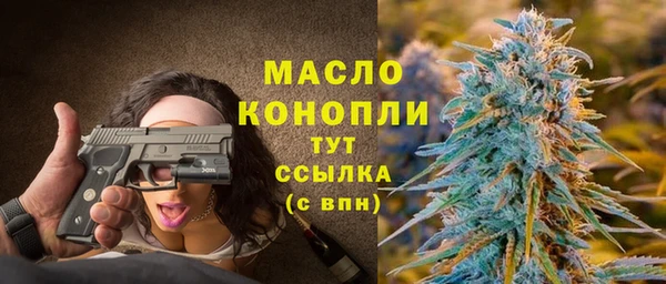дживик Надым