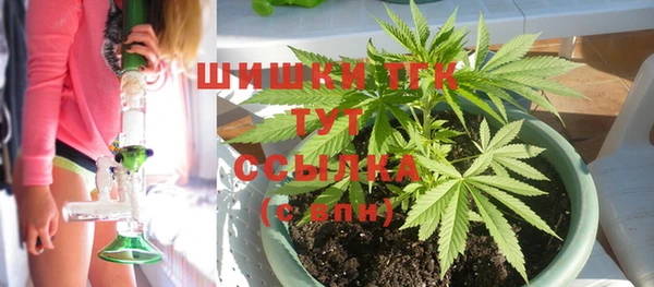 дживик Надым