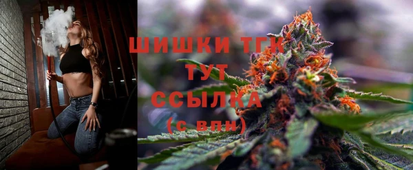 дживик Надым