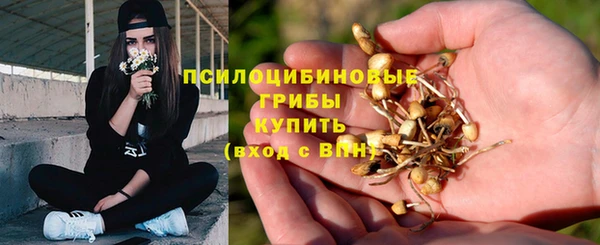 прущая мука Навашино