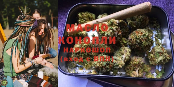 дживик Надым