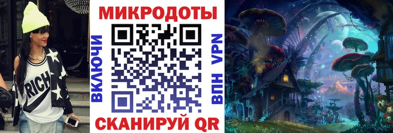 Купить Щучье Галлюциногенные грибы Psilocybine cubensis
